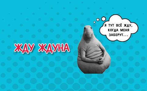 Жду "Ждуна"