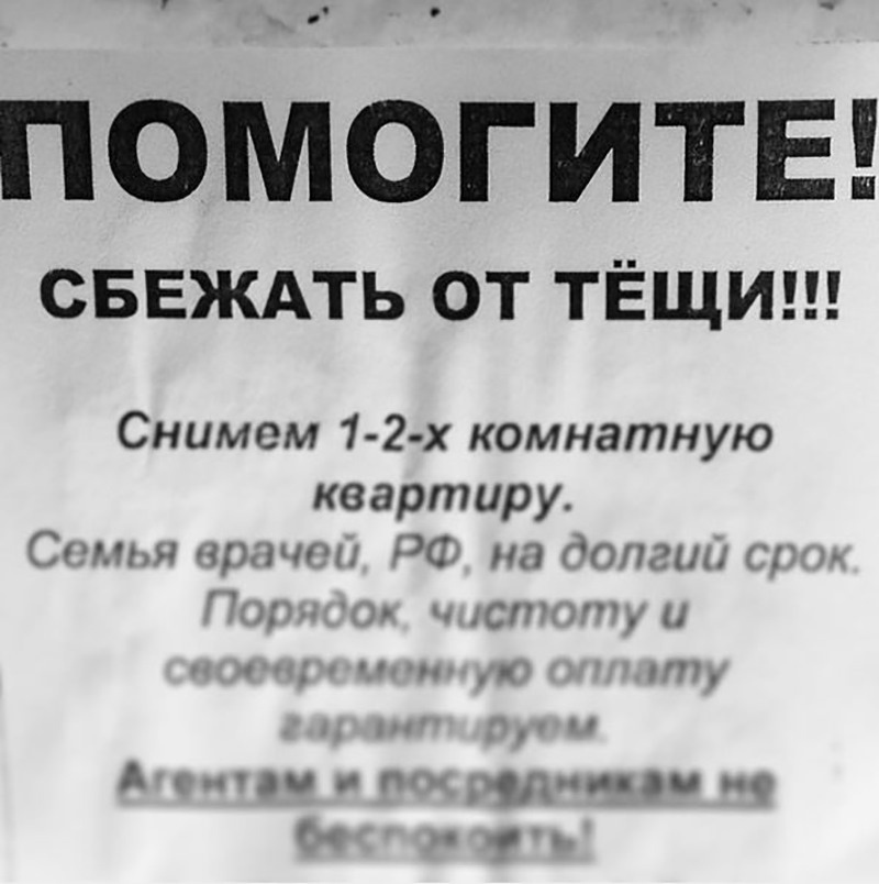 Долгий срок. Смешные объявления. Смешные объявления квартир. Смешные объявления о недвижимости. Шуточное объявление о найме.